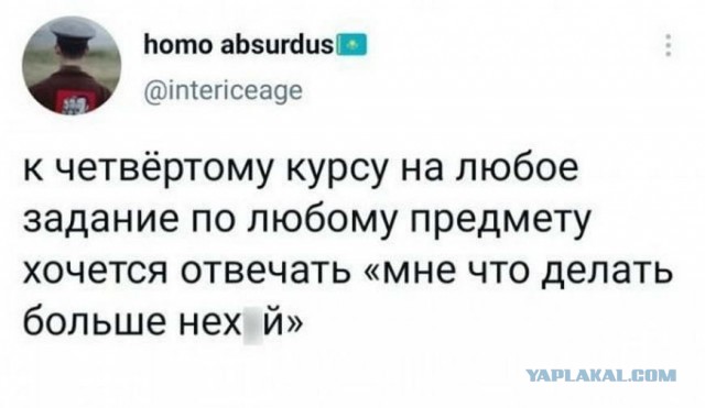 Картинки и мемы для настроения