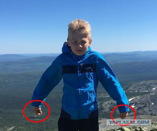 В тайге потерялся 9-летний мальчик