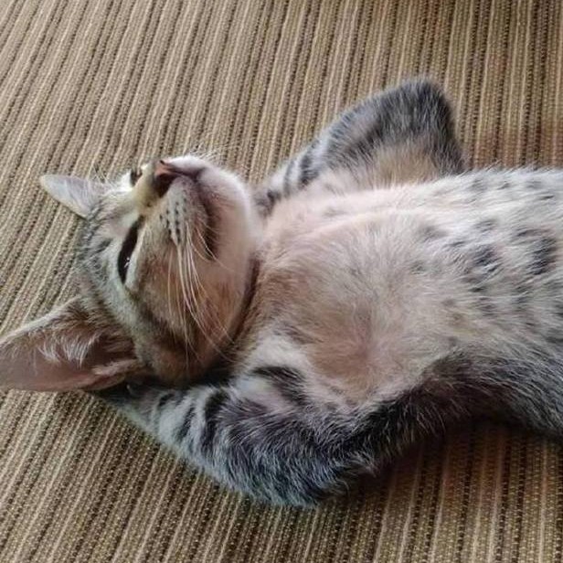 Внутренний конфликт