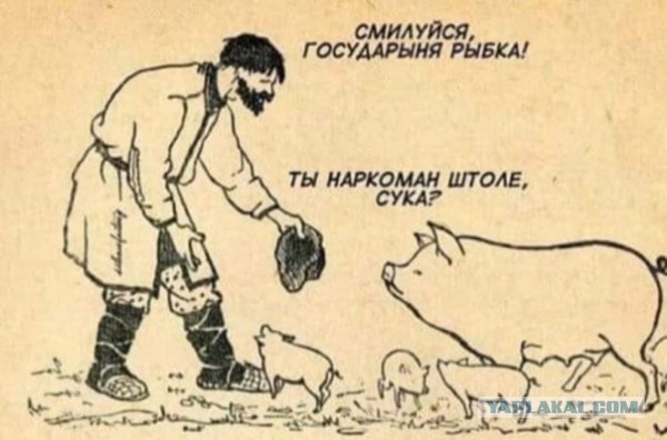 О моих снах