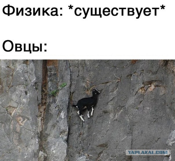 Весёлый полтишок 02.10