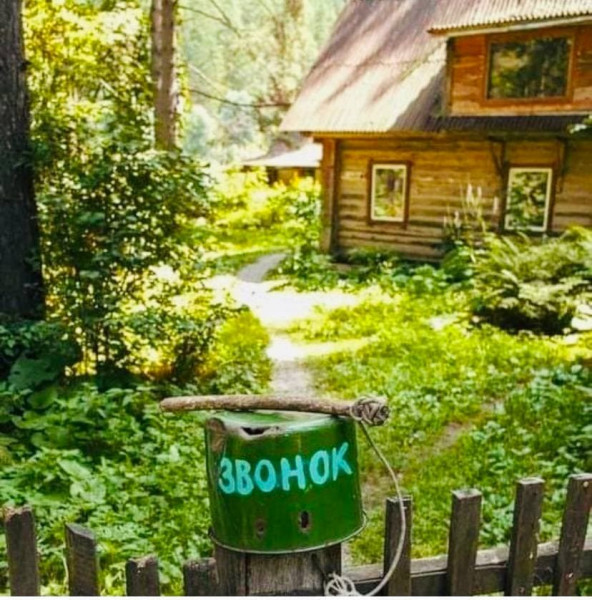 Всяческие картинки