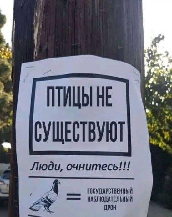 Всяческие картинки 15.11.2021