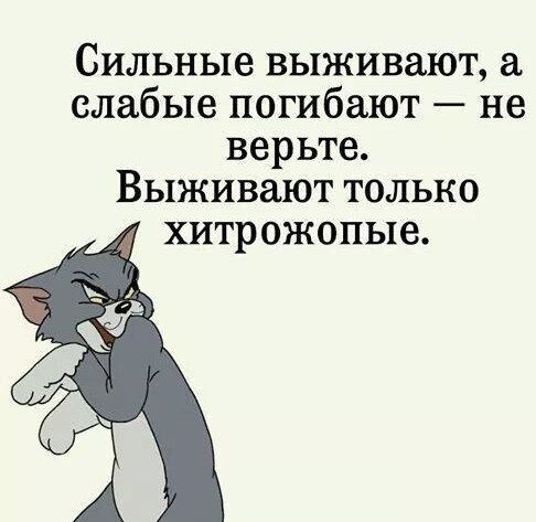 Картинки и мемы всем прекрасных выходных