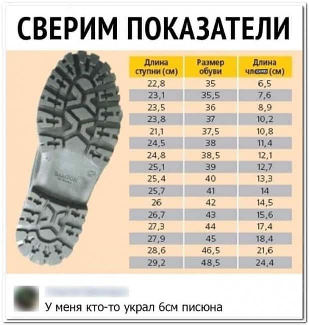 Баянисто-небаянистый юмор 11.01.22
