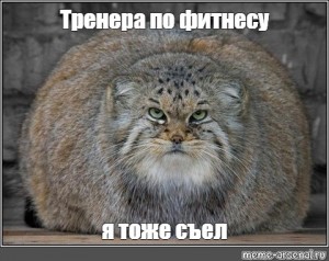 Котю дразнят