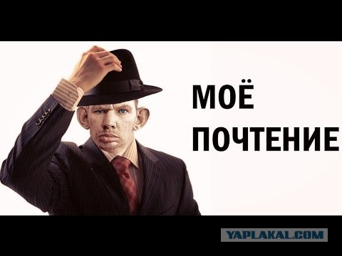 Инфузория показывает чудеса впихиваемости
