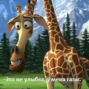 В Техасе почетным выпускником стал кот, который посещал каждое дистанционное занятие со своей хозяйкой