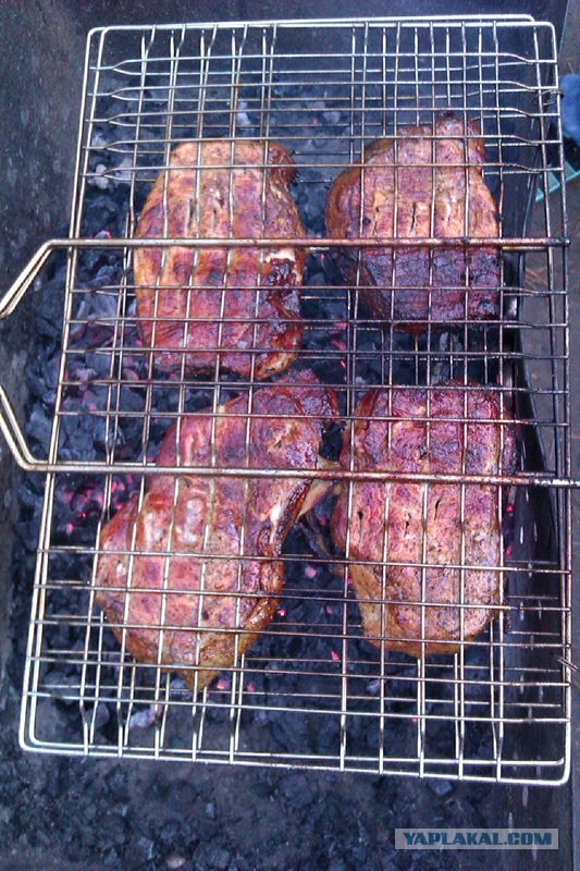 Первая вылазка 1 Апреля