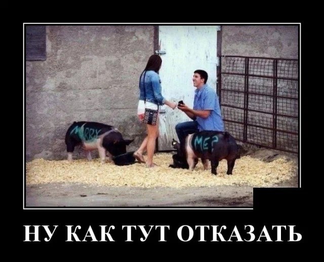 Картинки с надписями 26.07.22