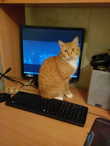 Вот и у меня появилась хозяйка!