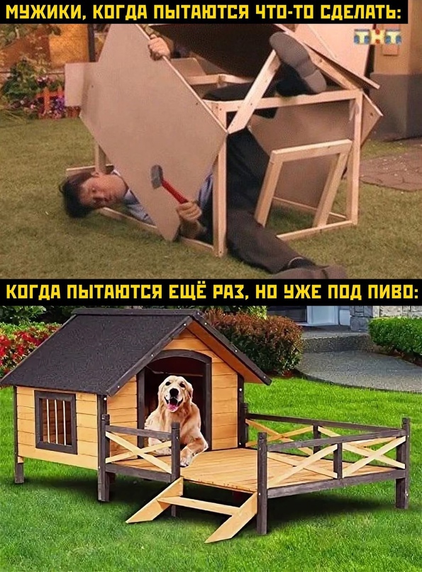 Картинки и мемы для настроения - 133
