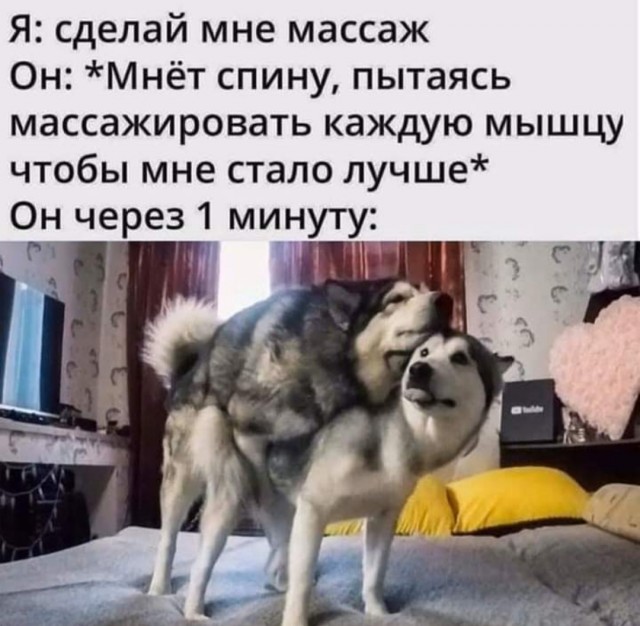 Баянисто-небаянистый юмор 19.01.23