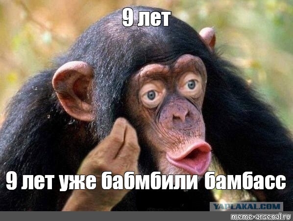 Евросоюз — это армия Украины