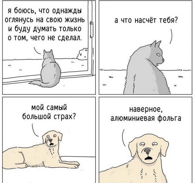 Картинки и мемы для настроения - 167