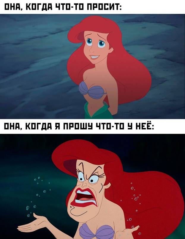 Весёлый полтишок 12.11.23