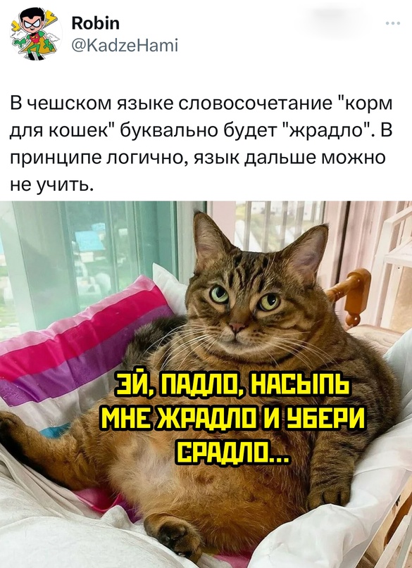 Весёлый полтишок 04.06.24