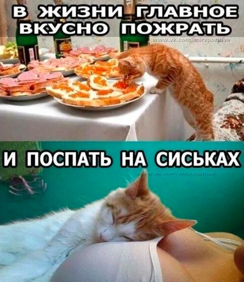 Картинки и буквы 20.06.2020