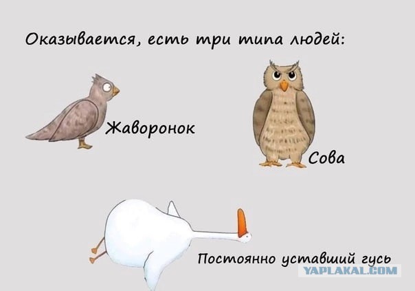 Квадробер квадроберу рознь