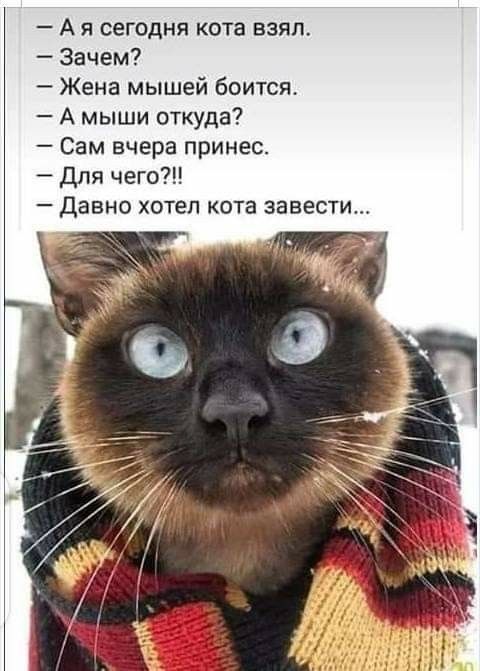 Какие мужчины в приоритете у женщин за 40, два типа