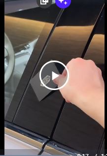 Китайская свистоперделка