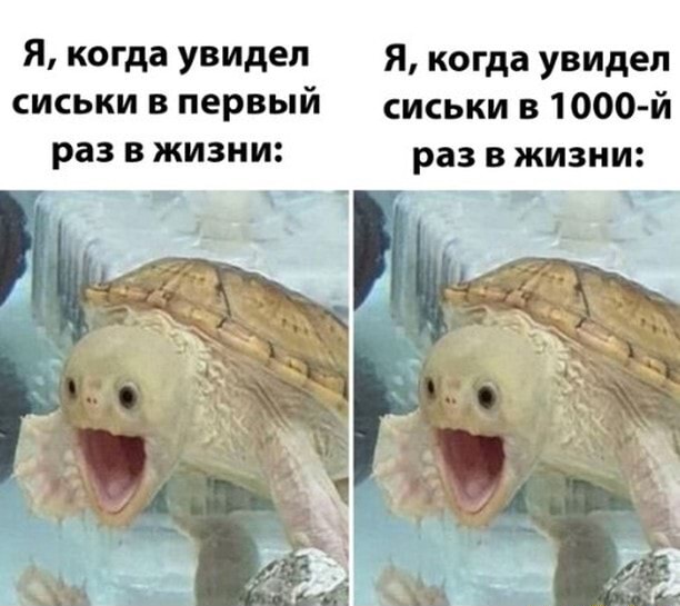 Слова не мальчика, но мужа⁠⁠