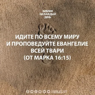 В ОП высказались за замену бумажных паспортов электронными