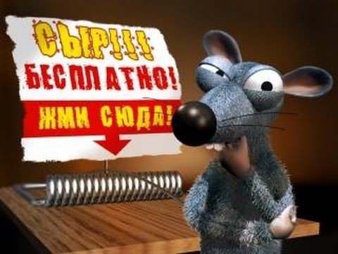 Морковки кто-то выигрывал чего?