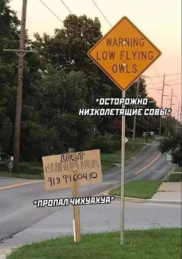 Веселые картинки в понедельник