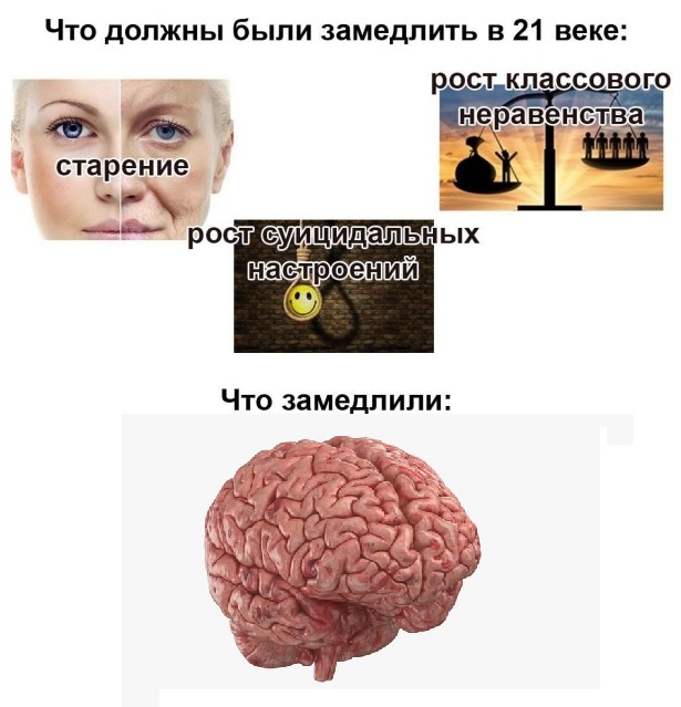 Замедлители