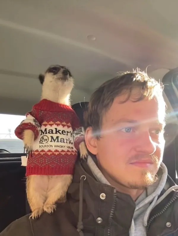 Забавные и интересные фото из Сети 23.04.26