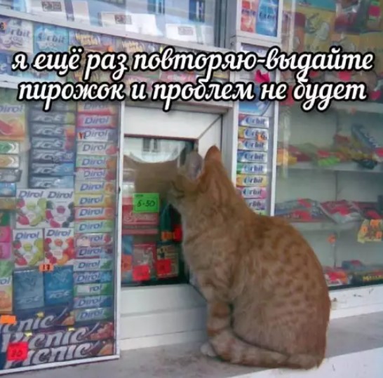 Картиночки, баянчики 01 июля