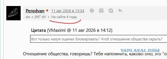 ЯП, как зеркало окружающего мира.