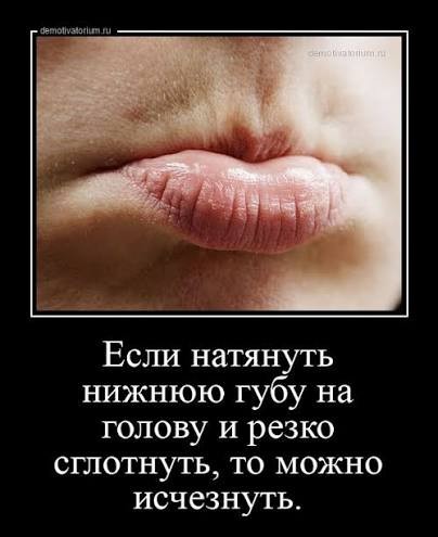 Давно анекдотов не было...
