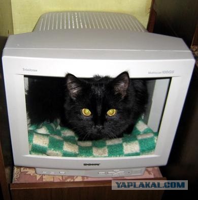 Сисадмины иногда серьезно шутят