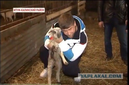 Кадыров признал поцелуи дикостью.