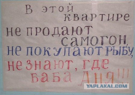Лучшее народное творчество февраля