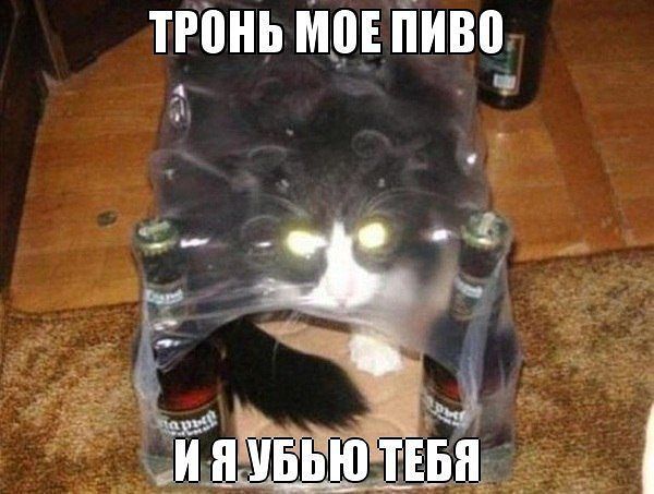 Веселые картинки? а так же комментарии)