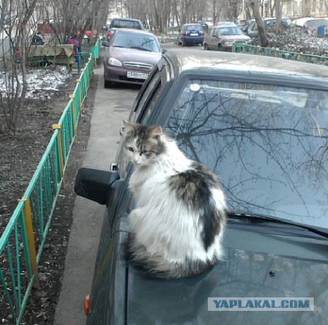 Дворники новейшей разработки