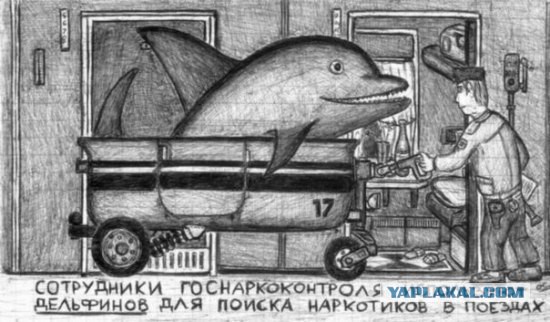 Авторское видение или "ни слова о наркомании!"