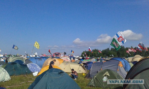 Они пережили Нашествие 2014