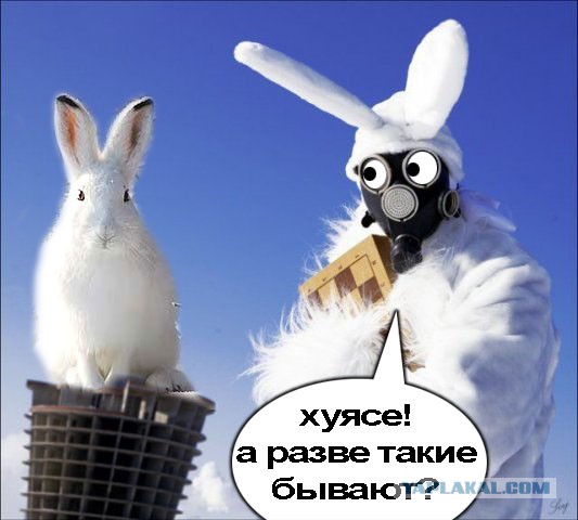 Когда вы плюсуeтe тему в платине