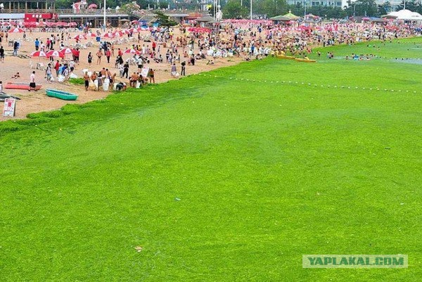 Кому юки отсыпать?