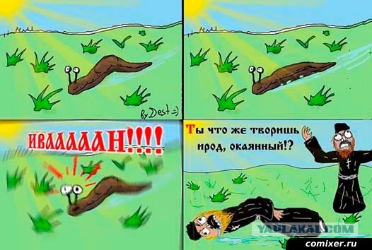 Веселье!