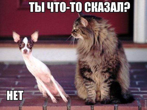 Веселые картинки.