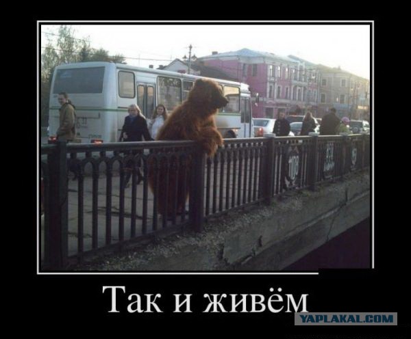 Почему Европа нас не боится!