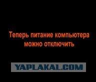 ЯП в 2050 году