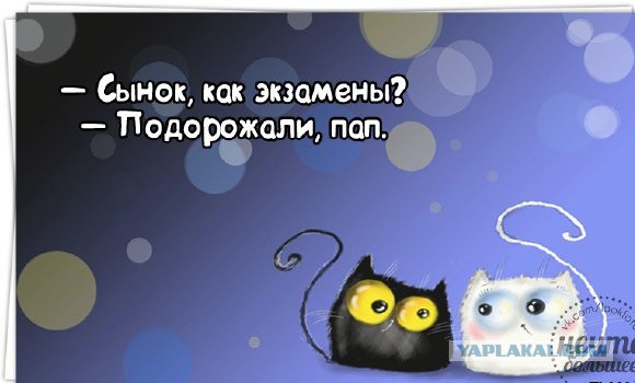 Смешные картинки, приколы, комментарии и прочее...