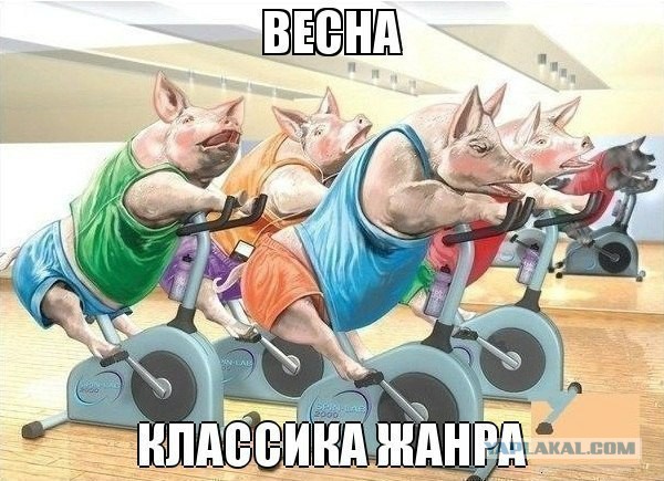 Тренер о жирных тёлках и альфа-самцах