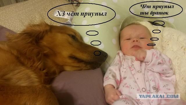 Начинаю подозревать